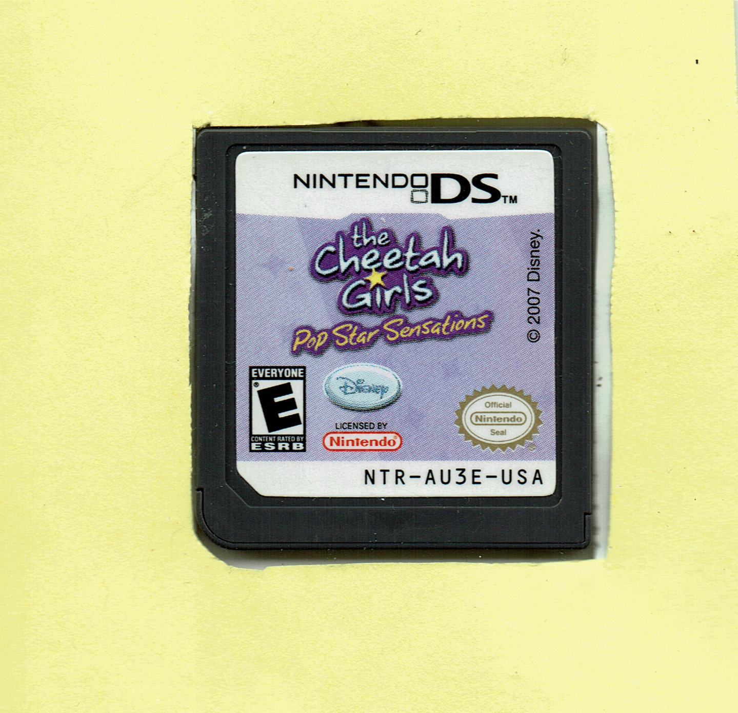 The Cheetah Girls: Pop Star Sensations